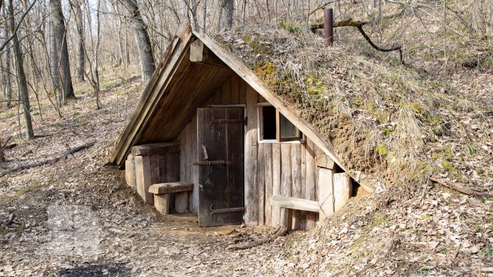 Trasee turistice prin rezervaţiile naturale din Moldova (FOTOREPORT)