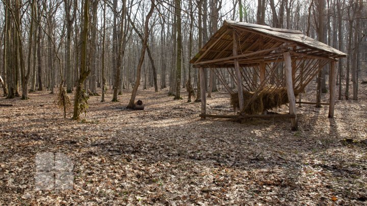 Trasee turistice prin rezervaţiile naturale din Moldova (FOTOREPORT)