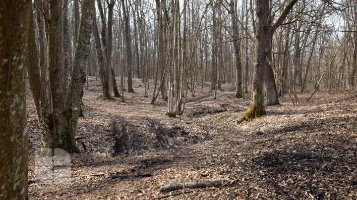 Trasee turistice prin rezervaţiile naturale din Moldova (FOTOREPORT)