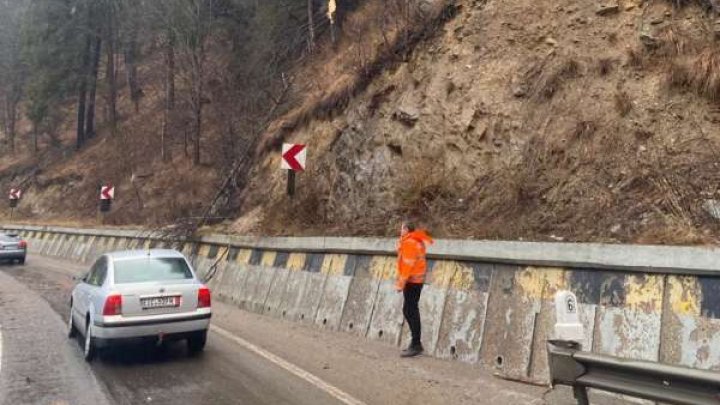 O femeie din Bucureşti a decedat după ce un arbore a căzut peste autoturismul în care se afla