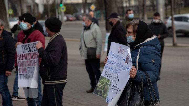 Fără salarii de 4 luni: Angajații CFM au protestat în fața Parlamentului și Președinției (FOTOREPORT)