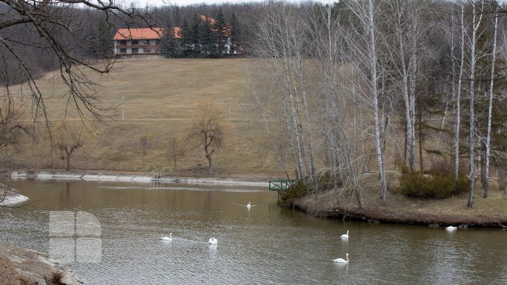 Vila prezidențială de la Condrița, în imagini. Cum arată reședința în care Maia Sandu refuză să se mute