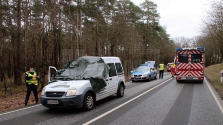 Accident bizar. Un tânăr a murit, după ce o căprioară a intrat prin parbrizul mașinii sale, lovită de un alt automobil