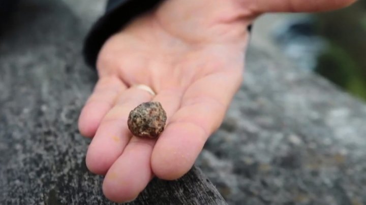 A fost identificat un meteorit la fel de vechi ca sistemul solar. A călătorit 4,5 miliarde de ani, apoi a căzut în Sahara