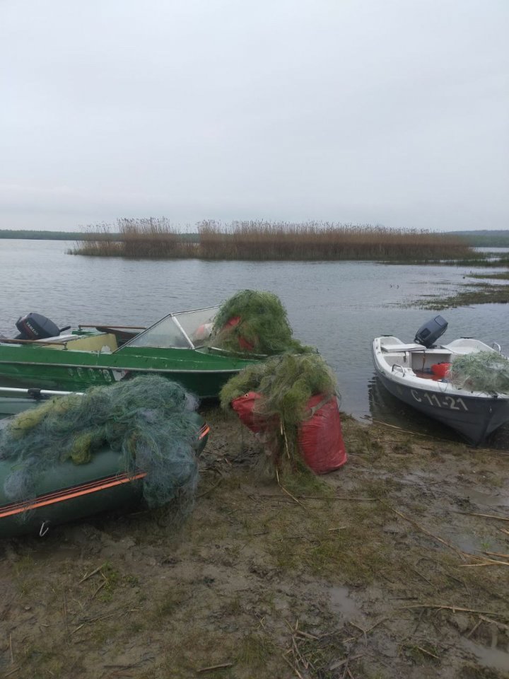 Braconaj pe lacul Beleu. Inspectorii de mediu au ridicat kilometri de plasă şi zeci de kilograme de peşte prins ilegal (FOTO/VIDEO)