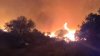 Incendiu devastator în Grecia. Flăcările au distrus mii de hectare de pădure în apropierea Atenei (VIDEO)