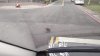 Test de răbdare pentru un șofer, după ce i-a ieșit în cale o pasăre extrem de lentă (VIDEO)