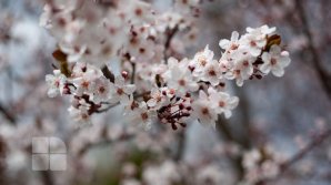 De Paşte, vremea va fi caldă şi va ploua cu descărcări electrice