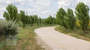 Vine VIJELIA. Vântul va bate în rafale ce vor atinge 72 de kilometri la oră