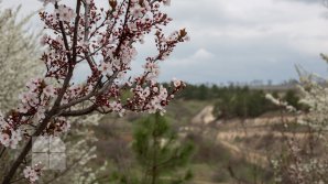 METEO 6 mai. Cer variabil și temperaturi generoase. Raioanele în care se aşteaptă precipitaţii