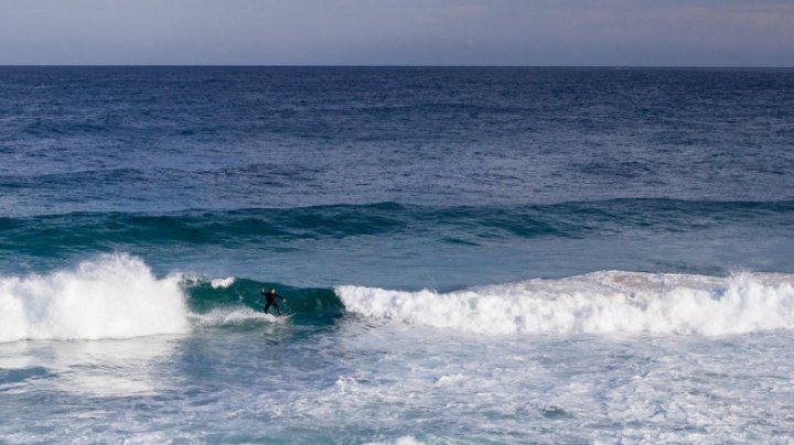 Un surfer din Australia atacat de un rechin într-o zonă considerată sigură pentru turiști