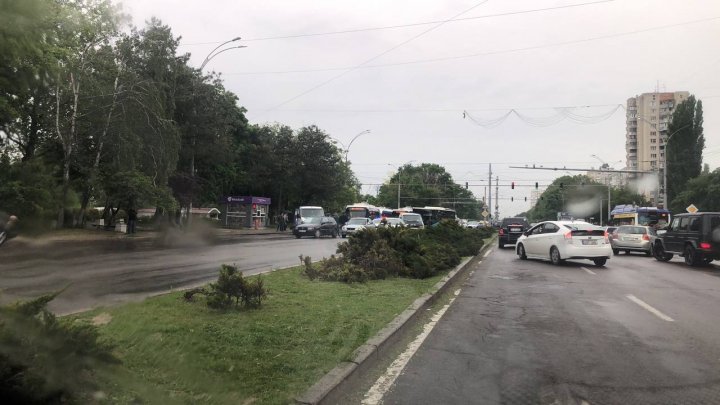 Accident rutier pe bulevardul Dacia din Capitală. Patru maşini, avariate (FOTO/VIDEO)