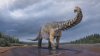 O specie de dinozaur descoperită în 2006 ar fi cea mai mare găsită vreodată în Australia