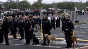 Funeralii demne de un erou pentru un câine polițist din Statele Unite. Ce faptă eroică a făcut acesta
