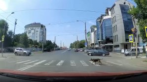 IMAGINEA ZILEI: Un câine a uimit prin gestul raţional de a traversa strada pe trecerea de pietoni (VIDEO)