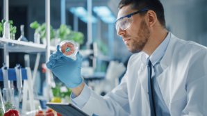 „Carne pentru vegani”: Un restaurant din Israel servește pui artificial, făcut în laborator