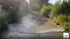 Viitură în localitatea Stremț. Apa a adus crengi, dar și o mulțime de gunoaie (VIDEO)