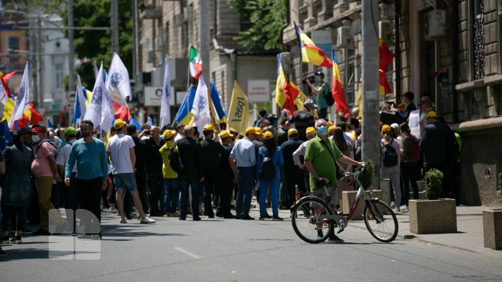 Protest la CEC. Mai multe partide, nemulțumite de numărul mic de secții de votare deschise peste hotare (FOTOREPORT)