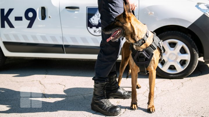 Ziua Poliției de Frontieră (FOTOREPORT)