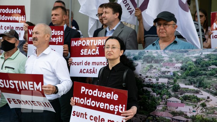 Protest în faţa Ministerului Agriculturii. Platforma DA, nemulţumită de politica ineficientă a instituţiei faţă de fermieri şi antreprenorii de la sate (FOTO)