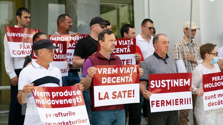 Protest în faţa Ministerului Agriculturii. Platforma DA, nemulţumită de politica ineficientă a instituţiei faţă de fermieri şi antreprenorii de la sate (FOTO)