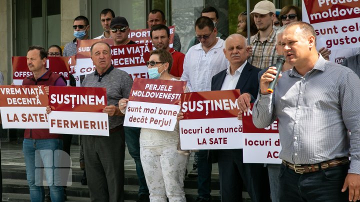 Protest în faţa Ministerului Agriculturii. Platforma DA, nemulţumită de politica ineficientă a instituţiei faţă de fermieri şi antreprenorii de la sate (FOTO)