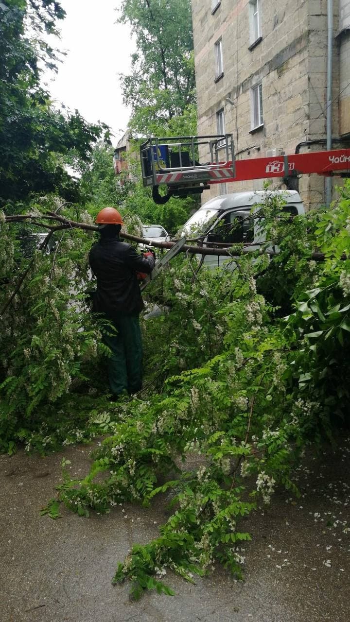 Ploaia şi vântul puternic au doborât mai mulţi copaci în Chişinău (FOTO)