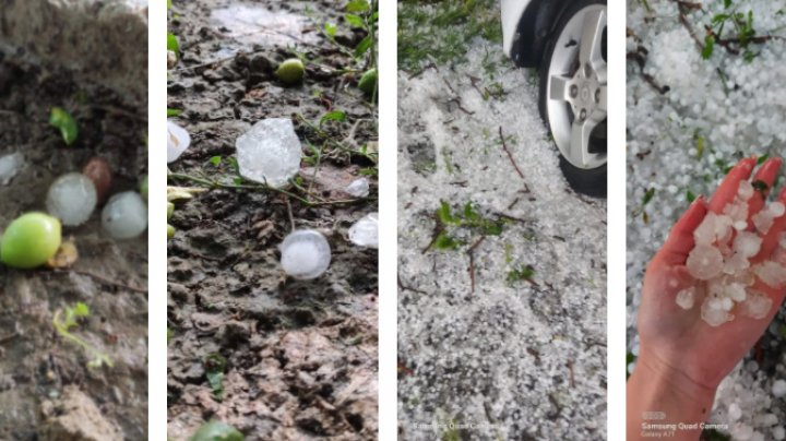 Ploaia cu grindină a făcut RAVAGII la Ungheni. Copaci doborâţi şi culturi agricole distruse (VIDEO/FOTO)