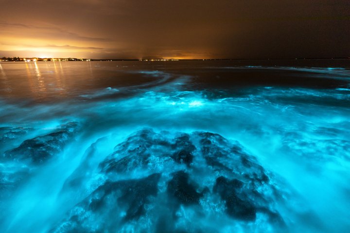 IMAGINI SPECTACULOASE surprinse de un fotograf în Golful Jervis din Australia (FOTO)