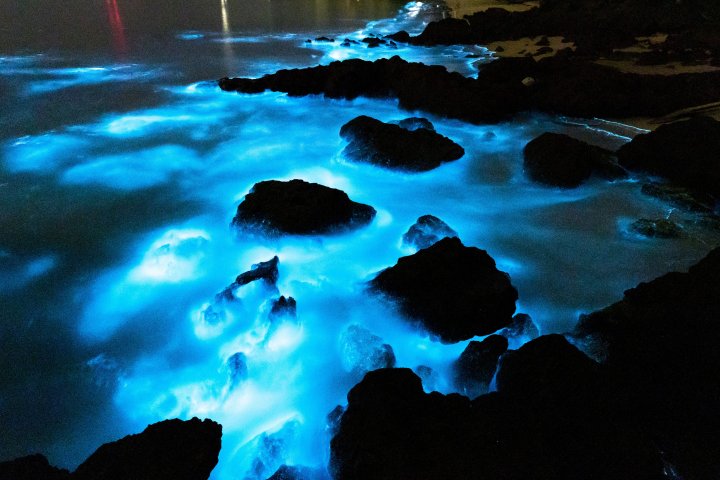 IMAGINI SPECTACULOASE surprinse de un fotograf în Golful Jervis din Australia (FOTO)