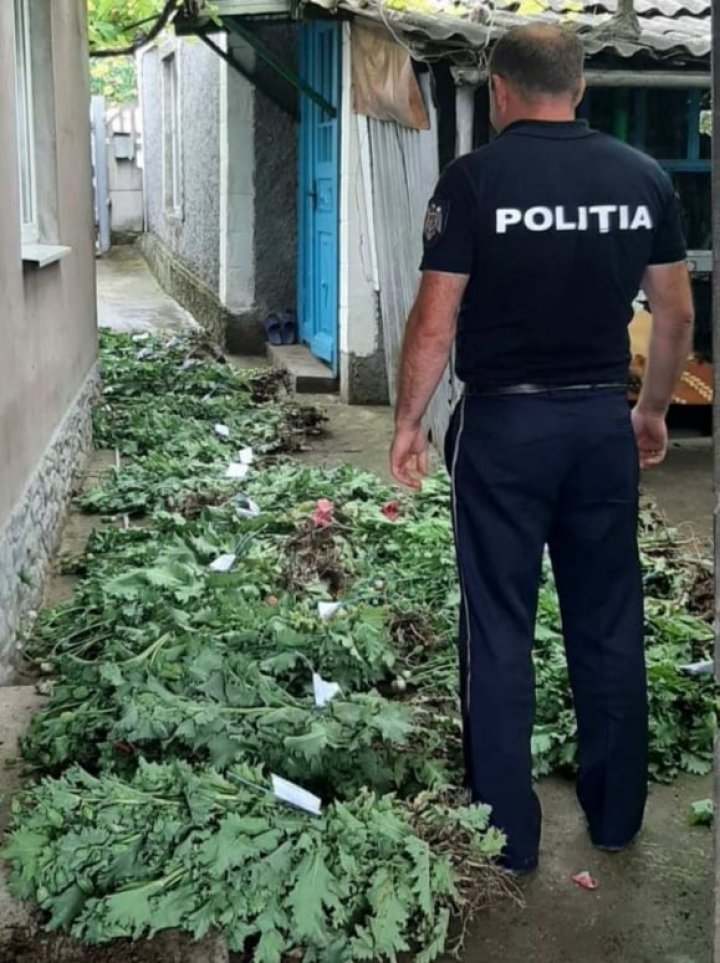 Descoperirea făcută de polițiști într-o gospodărie din satul Chircăiești, raionul Căușeni (FOTO)