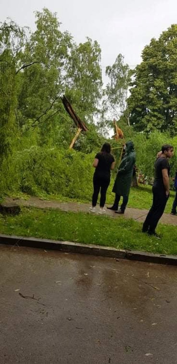 Ploaia cu grindină a făcut RAVAGII la Ungheni. Copaci doborâţi şi culturi agricole distruse (VIDEO/FOTO)