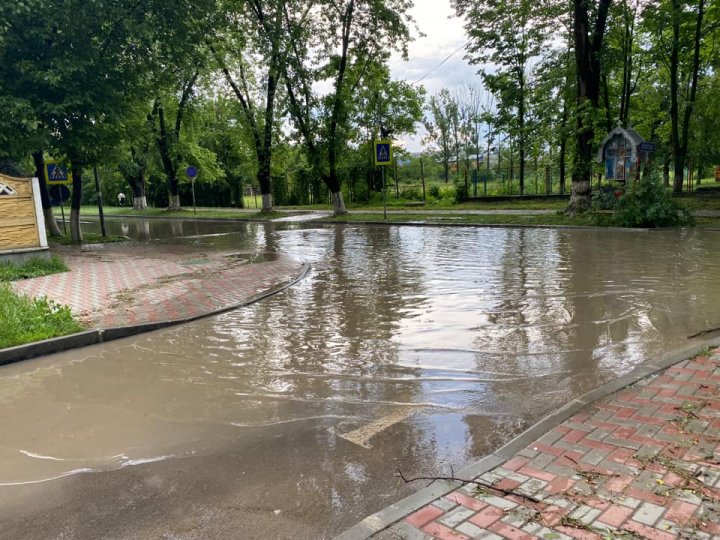 Ploaia cu grindină a făcut RAVAGII la Ungheni. Copaci doborâţi şi culturi agricole distruse (VIDEO/FOTO)