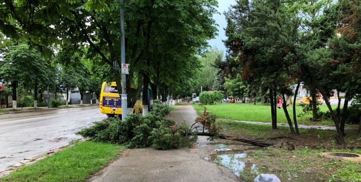 Ploaia cu grindină a făcut RAVAGII la Ungheni. Copaci doborâţi şi culturi agricole distruse (VIDEO/FOTO)