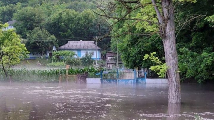 Ploile au făcut ravagii în stânga Nistrului. Grindină cât oul de prepeliţă la Camenca (VIDEO)