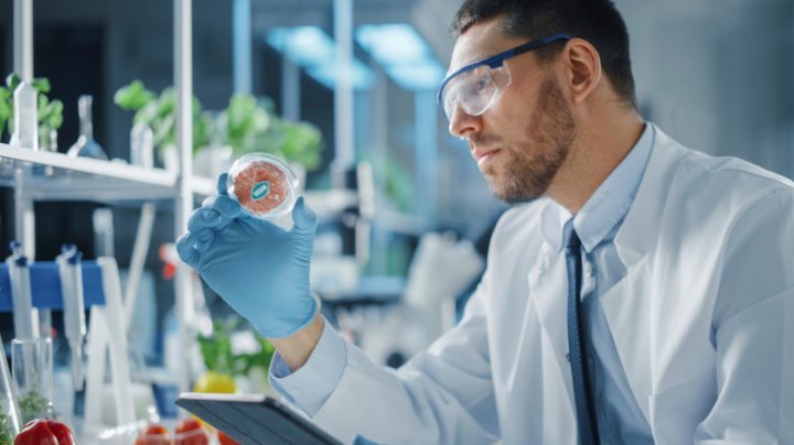 „Carne pentru vegani”: Un restaurant din Israel servește pui artificial, făcut în laborator