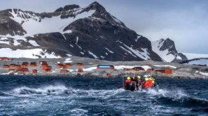 Temperatura record a Antarcticii de 18,3 grade Celsius, confirmată oficial de OMM