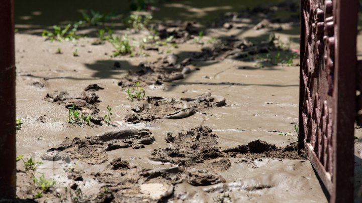 Ploile torenţiale au distrus culturile agricole. Locuitorii raionului Căuşeni sunt disperaţi şi spun că tot ce au agonisit s-a dus cu apa (FOTO)