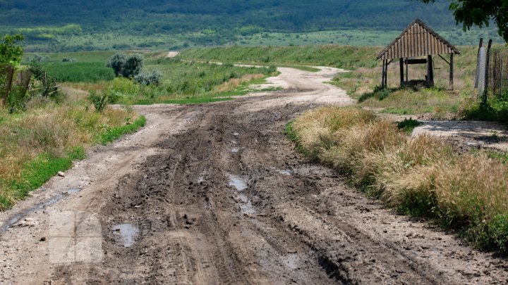 Ploile torenţiale au distrus culturile agricole. Locuitorii raionului Căuşeni sunt disperaţi şi spun că tot ce au agonisit s-a dus cu apa (FOTO)