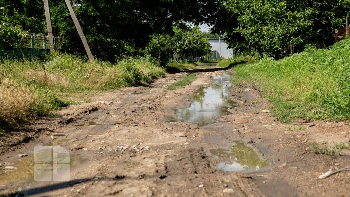 Ploile torenţiale au distrus culturile agricole. Locuitorii raionului Căuşeni sunt disperaţi şi spun că tot ce au agonisit s-a dus cu apa (FOTO)