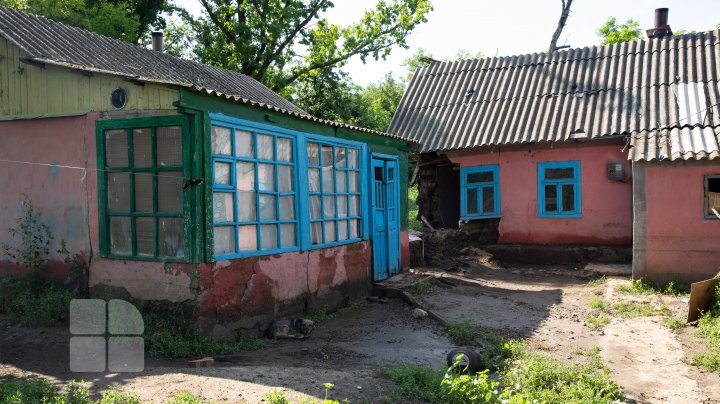 Ploile torenţiale au distrus culturile agricole. Locuitorii raionului Căuşeni sunt disperaţi şi spun că tot ce au agonisit s-a dus cu apa (FOTO)