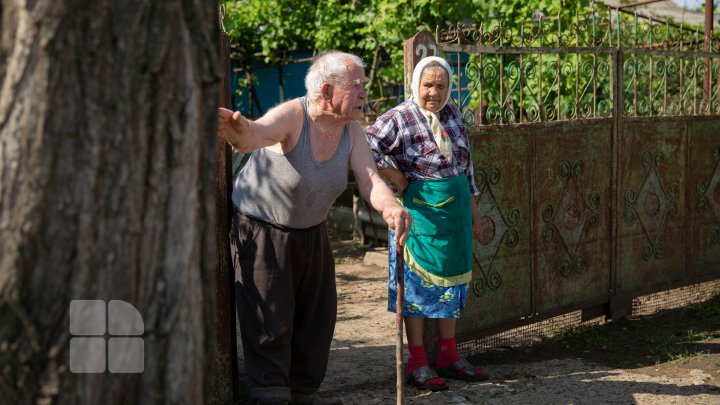 Ploile torenţiale au distrus culturile agricole. Locuitorii raionului Căuşeni sunt disperaţi şi spun că tot ce au agonisit s-a dus cu apa (FOTO)