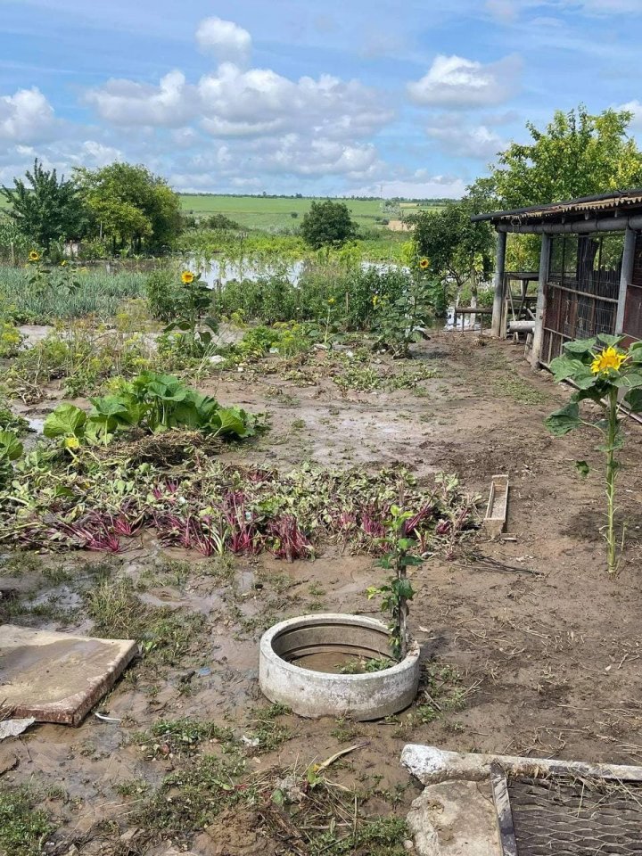 PLOAIA PUTERNICĂ a lăsat fără lumină mai multe localităţi din ţară 