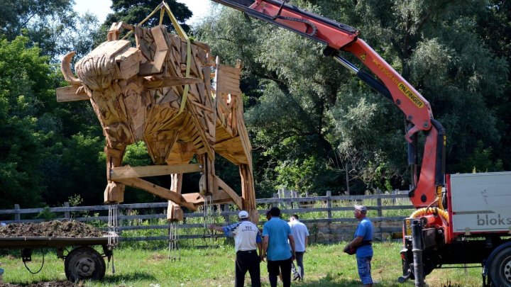 Un zimbru uriaș din lemn, instalat pe teritoriul rezervației naturale „Pădurea Domnească”