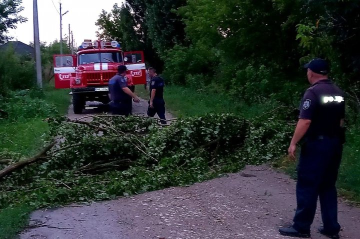 FURTUNA a făcut RAVAGII în raionul Făleşti. Mai multe drumuri din câteva localități, blocate de crengile rupte de vântul puternic (FOTO)