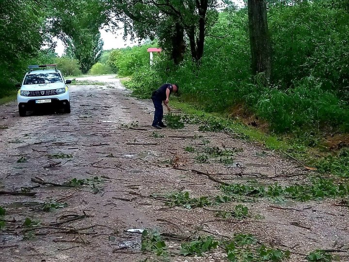 FURTUNA a făcut RAVAGII în raionul Făleşti. Mai multe drumuri din câteva localități, blocate de crengile rupte de vântul puternic (FOTO)