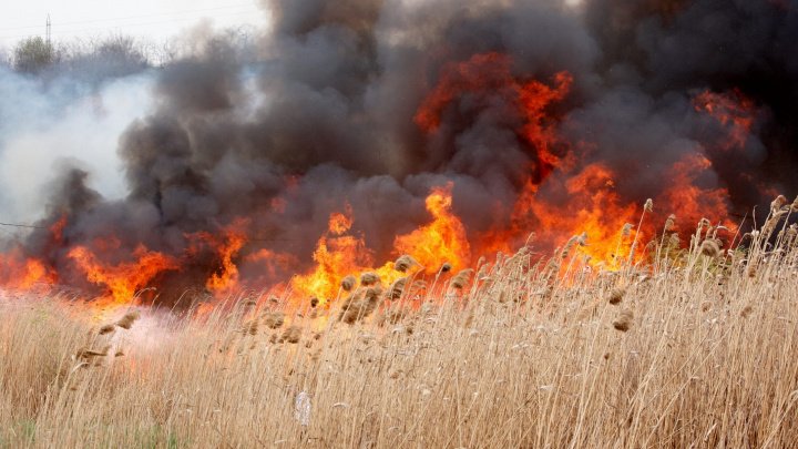 Incendiu de proporţii la Ivanovca, Hînceşti. Au ars opt hectare de vegetaţie