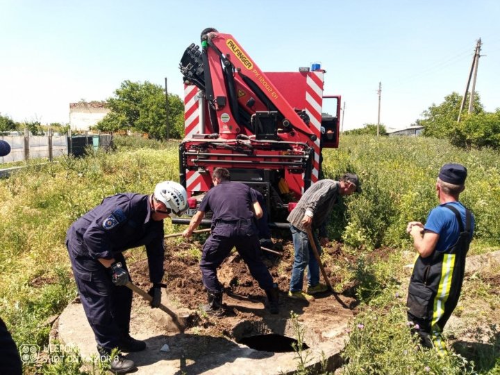 Pompierii au salvat o bovină căzută într-o fântână de canalizare cu adâncimea de patru metri (VIDEO)