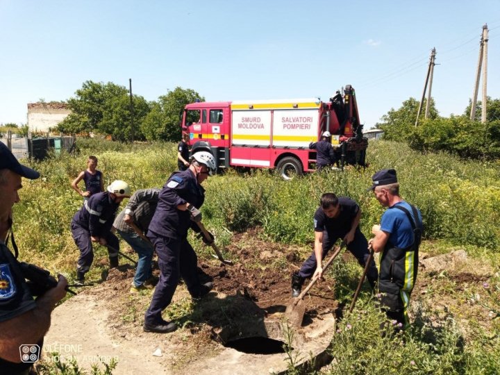 Pompierii au salvat o bovină căzută într-o fântână de canalizare cu adâncimea de patru metri (VIDEO)