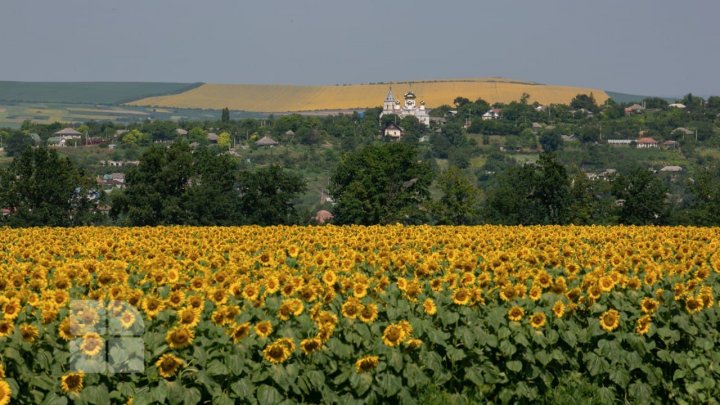 Cum va fi vremea în data de 9 august și câte grade vor indica termometrele  